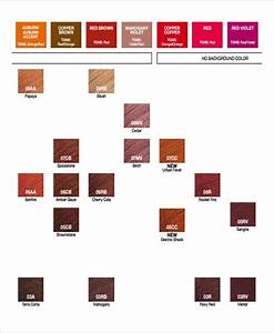 Professional Hair Color Conversion Chart Home Interior Design