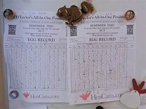 Yearly Egg Chart Hencam