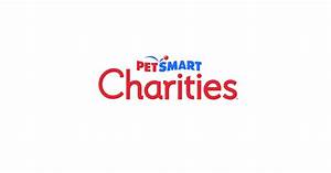 Help Pets In Need Find A Forever Family During Petsmart Charities