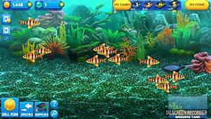 Magic Fish Fish Tycoon 2 Dota Blog Info