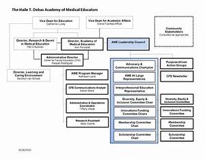 Academy Organizational Chart Ucsf Medical Education