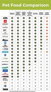 Dog Food Comparison Chart Infographic