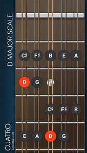 Learn How To Play The Cuatro Puerto Rico Our Online Courses Are