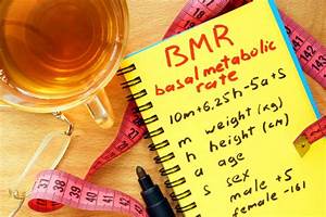 What Is Basal Metabolic Rate How Is Bmr Affected By Your Age