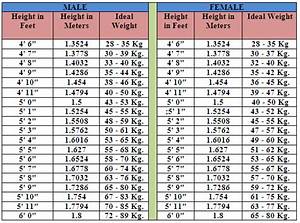 Ideal Height Weith Chart For Men And Women Healthy Begin