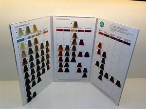 Oem 3 Folds Salon Hair Color Chart Buy Hair Color Chart Hair Color