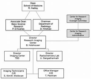 Organization And Staffing School Of Medicine Loma University