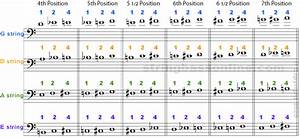 String Bass Online Chart