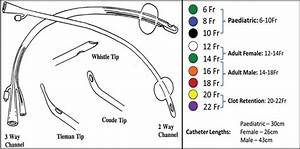 Urinary Catheter Types And Sizes And How To Choose Artofit