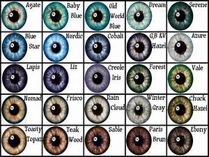 Eye Color Determination Chart Google Search Eye Color Chart Eye