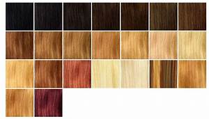 Strawberry Hair Color Chart Hair Color Chart 