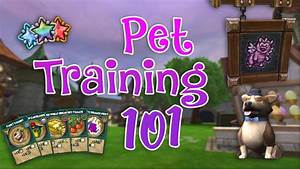 Wizard101 Pet Training Guide Ravenwood Academy