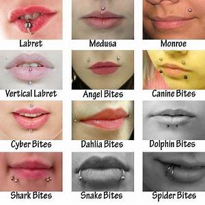Which Is Your Favourite Lip Piercing Do You Have One Daith Piercing