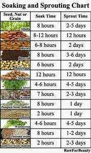 Health Benefits Of Nuts Chart Health Benefits Growing Sprouts