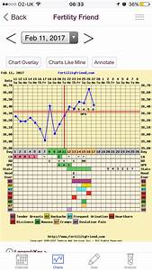 Anyone Charting Their Bbt Want To Compare Charts