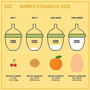 Baby Stomach Size Baby Stomach Size Baby Baby Care Tips