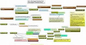 2015 Olive Egger Chart Olive Eggers On Facebook Pdf Olive