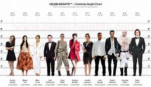 Celeb Heights Celebrity Height Chart Maker