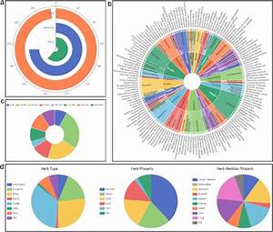 Data Visualizations A Polar Coordinate Bar Chart Showing Statistics
