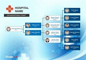 Download Hospital Organizational Chart 1 Organizational Chart