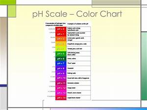 Ppt Ph Scale Indicators Powerpoint Presentation Free Download Id