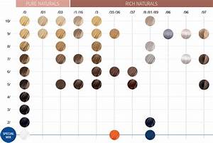 Wella Color Touch Chart Pdf Warehouse Of Ideas