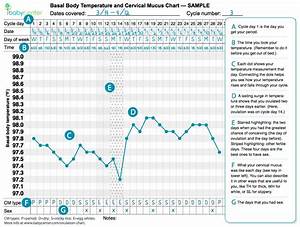 St Pardon Fremder Digital Basal Thermometer For Fertility Charting Das
