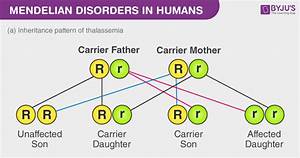 Mendelian Disorders Different Types Of Mendelian Disorders