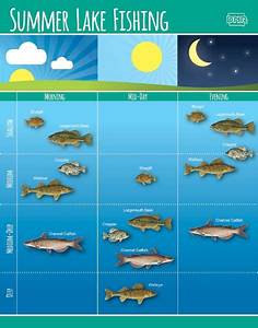 Fishing Depth Chart Kmaland Com