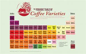Infographic Periodic Table Of Coffee Varieties Or Cultivars By The