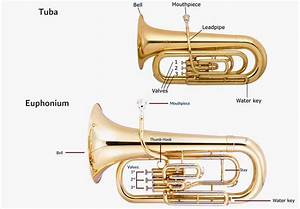 Euphonium Vs Tuba Here Is The Difference
