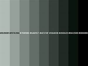 Ash Gray Color Hex B2beb5