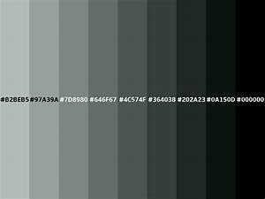 ash gray color hex b2beb5