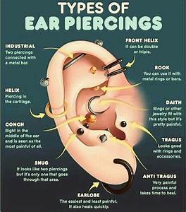 Pin By Psycho Ragdoll On Random Ear Piercings Ear Piercings Chart
