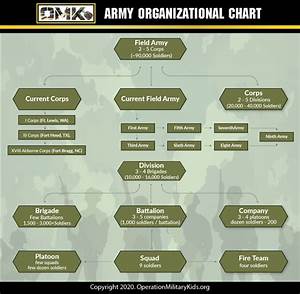 Discover The Structure Of The Us Army