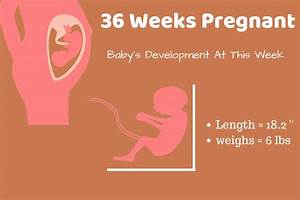 36 Weeks Symptoms Body Changes Of The Mother Baby