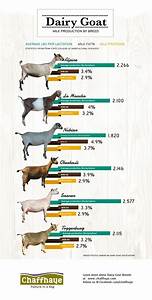 Goats May Not Be As Popular As Beef Or Pork But It Is A Big