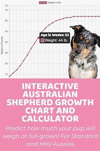 Interactive Australian Shepherd Standard Growth Chart And Calculator
