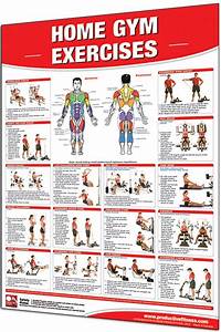 Productive Fitness 24 Quot X 36 Quot Laminated Fitness Poster Wall Chart