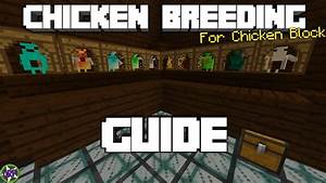 Minecraft Chicken Guide For Chickenblock Bedrock Edition Map