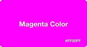 Magenta Color With Hex Code