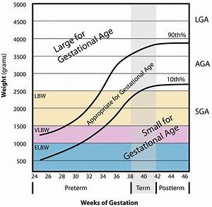 Gestational Age Chart How To Calculate Gestational Age Corrected Age