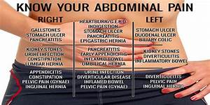 Know Your Abdominal Chart My Healthy Life Guide