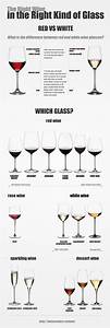 Types Of Wine Glasses Infographic