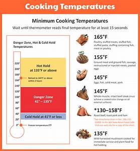 Meat Temperature Chart Magnet Chicken Turkey Beef Steak Cooking Grill