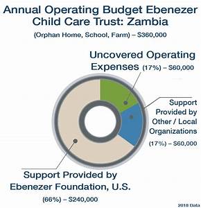 Operating Budget Pie Chart 2 The Ebenezer Foundation The Ebenezer