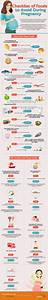 Foods To Avoid During Pregnancy Infographics Graphs Net