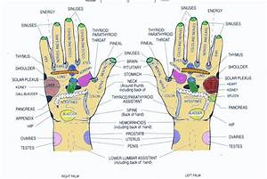 hand reflexology reflexology foot reflexology