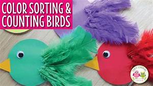 Bird Color Sorting And Counting Activity Tutorial Youtube
