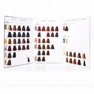 Professional Hair Color Conversion Chart Home Interior Design